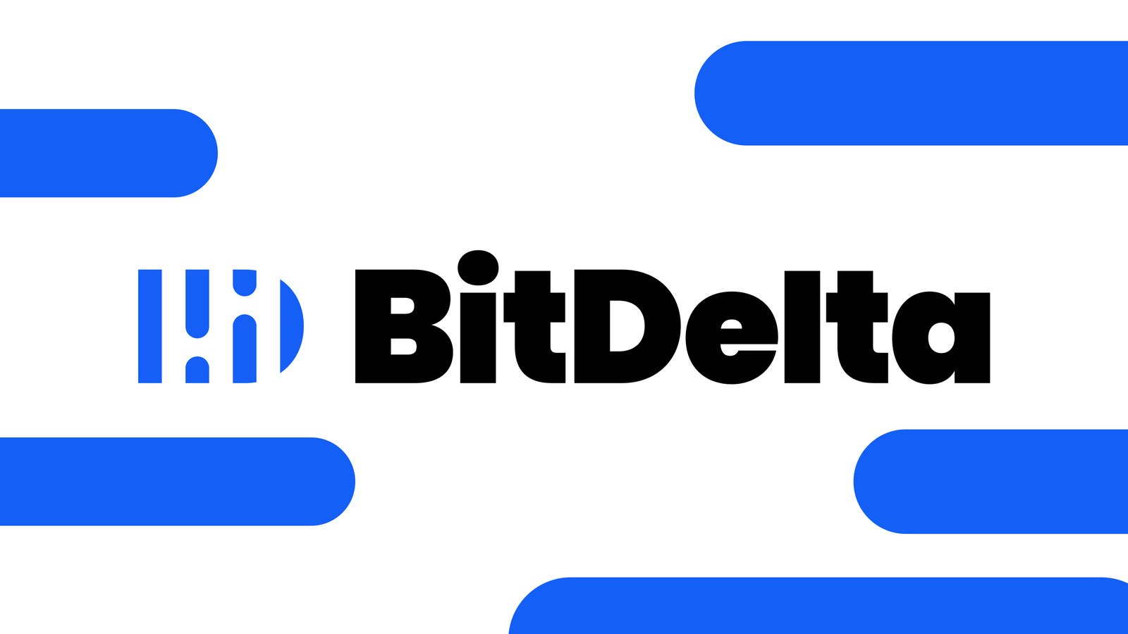 Bit Delta Pro