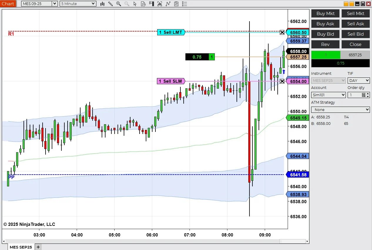 Ninja Trader Platform Feature 4